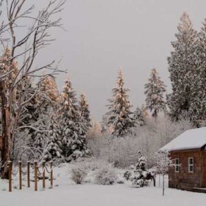 How to Keep Composting in Winter Image
